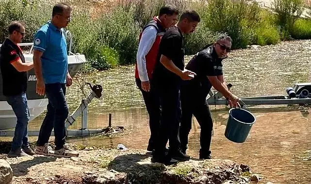 Hatay'daki baraj ve göletlere 682 bin sazan yavrusu bırakıldı