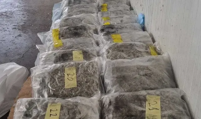 Türkiye'ye getirilmek istenen 400 bin dolarlık esrar sınırda yakalandı