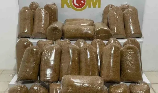 Samsun'da 200 kilo kaçak tütün ele geçirildi