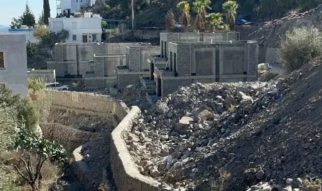 Suavi'nin Bodrum'daki arazisinde 40 ağaç kesildi