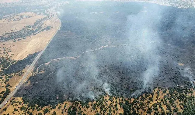 Elazığ'da kırsalda başlayan yangın ormanlık alana sıçradı: Müdahale sürüyor