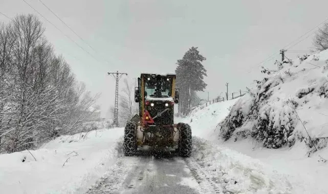 Ordu'da kar yağışı etkili oldu