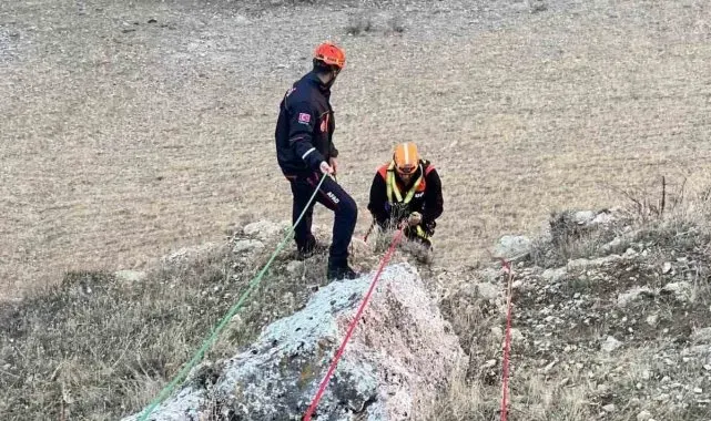 Muş'ta kayalıkta mahsur kalan keçiler kurtarıldı