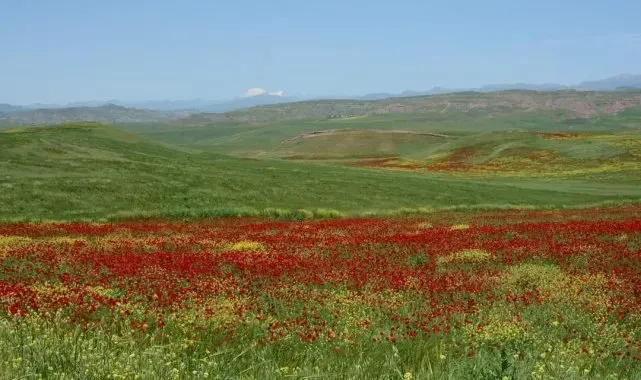 Garzan Ovası büyük ova ilan edildi