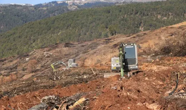 Yangında küle dönen Ilgaz Dağı yeniden yeşillenecek