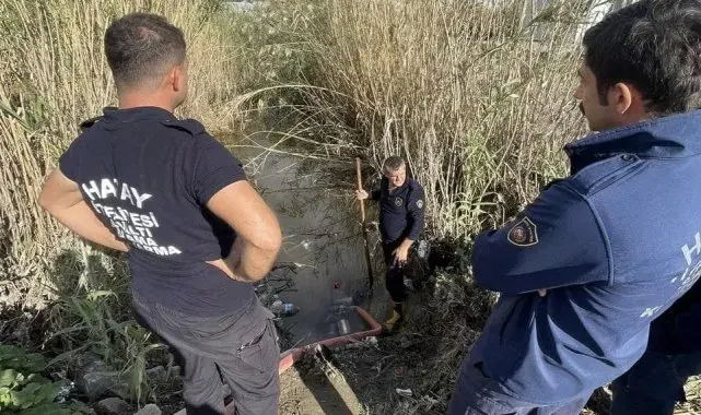 Samandağ'da yağmur suyu giderinde mahsur kalan yavru köpekler kurtarıldı