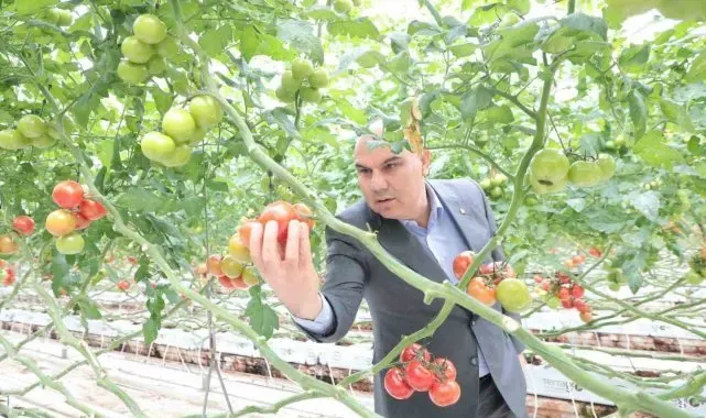 Vali Koç jeotermal sera alanında incelemelerde bulundu