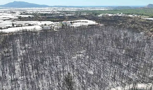 Kaş'ta orman yangınında zarar gören alanlar görüntülendi