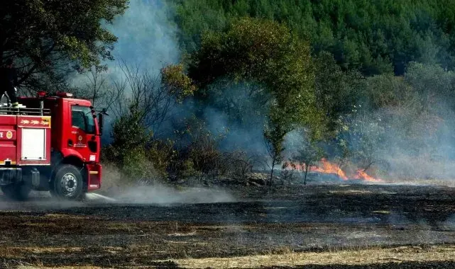 Yeniköy'de anız yangını hızlı müdahale ile söndürüldü
