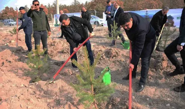 Emet'te 300 fidan toprakla buluştu