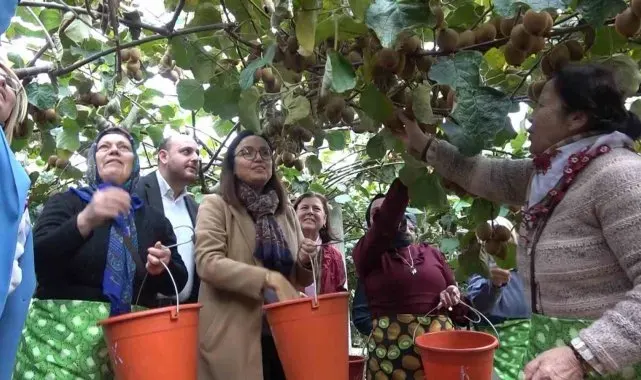 Yalova Kivisi Hasat Şenliği renkli görüntülere sahne oldu