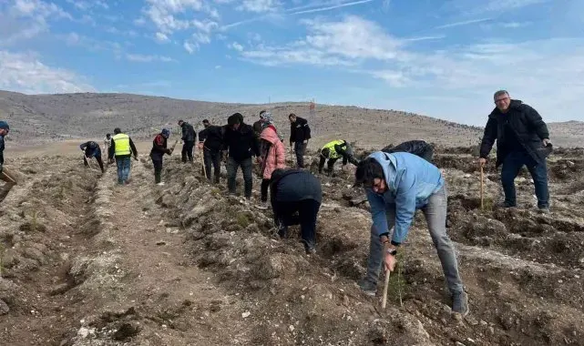 Ata'yı fidan dikerek andılar