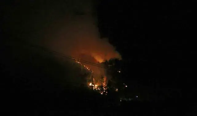 Pozantı'da çıkan orman yangını kontrol altına alındı