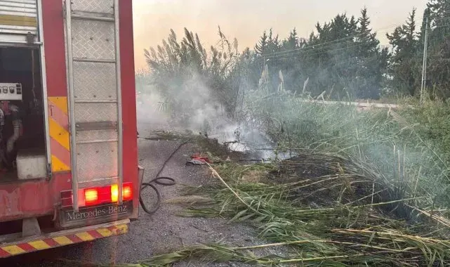 Arsuz'da dere yatağındaki otlar yandı