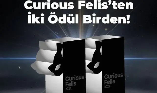 Kiğılı'ya, Curious Felis 2024'ten iki gümüş ödül
