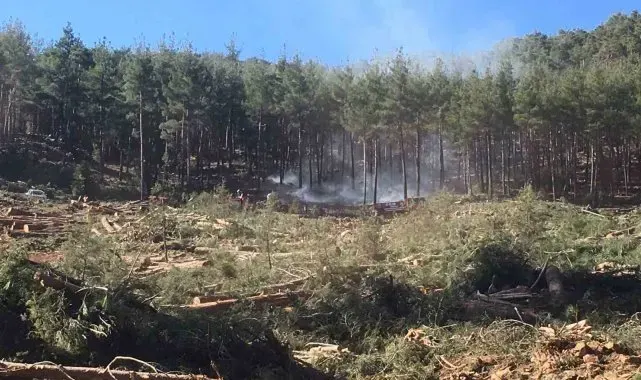 Burdur'da kesim sahasındaki orman yangınında 3 dönümlük alan yandı