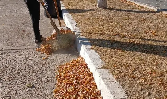 Germencik'te 'sonbahar' temizliği