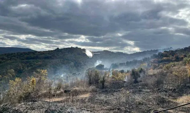 Çanakkale'deki yangında 2 hektarlık alan zarar gördü