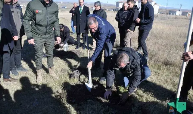 Kars'ta fidanlar toprakla buluştu