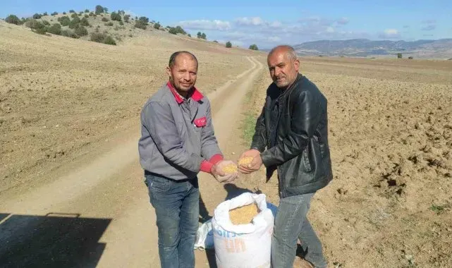 Çiftçi küresel ısınmanın etkileri yüzünden buğdayını geç ekiyor