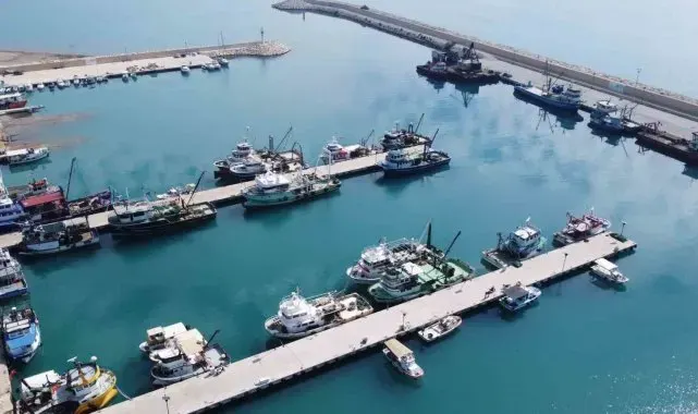 Doğu Akdeniz'de balık popülasyonu azalıyor