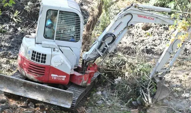 Yıllardır görmezden gelinen derede temizlik başladı