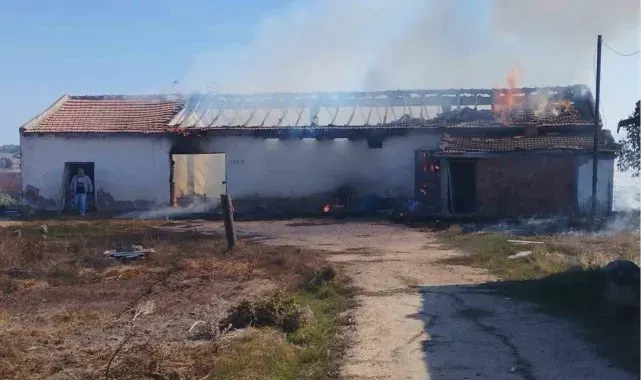 Enez'de çıkan yangında 15 ton buğday ve 500 saman balyası küle döndü