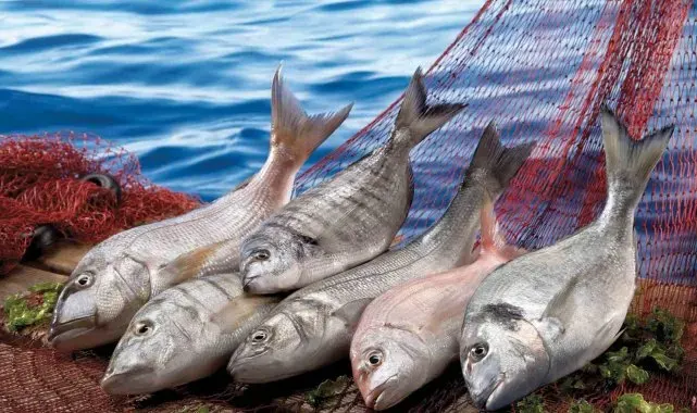 Muğla, Ekim ayında 104,5 milyon dolar ihracat gerçekleştirdi