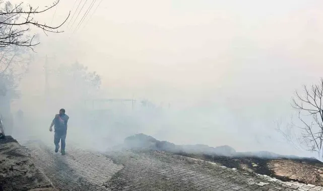 Hatay'da orman yangını kontrol altına alındı