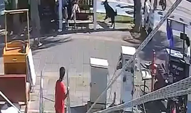 Kurt köpeğinin polislere saldırı anının görüntüleri ortaya çıktı