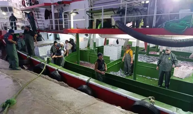 Çanakkale'de denetlenen 232 bin 700 kilogram hamsi karaya çıkarıldı