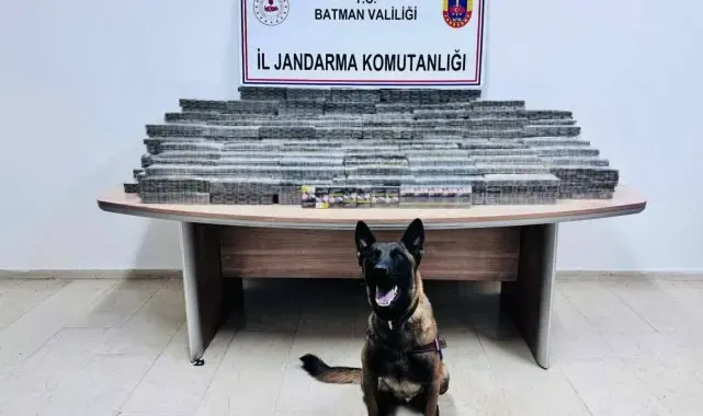 Batman'da durdurulan araçta gümrük kaçağı sigara ele geçiridi