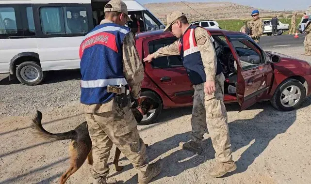 Diyarbakır'da jandarma denetiminde 8 asker kaçağı tespit edildi