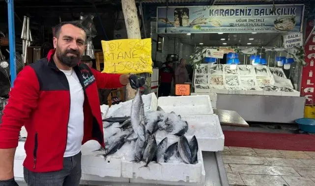 Kilis'te havaların serinlemesiyle balık satışları arttı