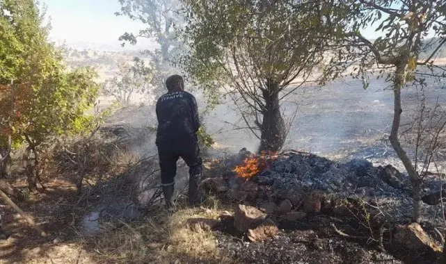 Başkan Yıldırım'dan orman yangınlarına karşı vatandaşları uyardı