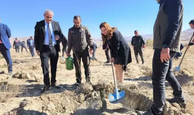 101. Yıla özel 101 fidan toprakla buluştu