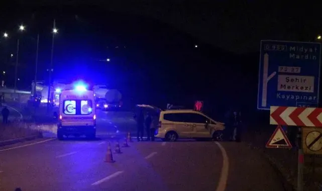 Batman'da aracın çarptığı aydınlatma direği devrildi