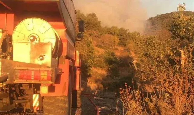 Gazipaşa'da ormanlık alanda çıkan yangın söndürüldü
