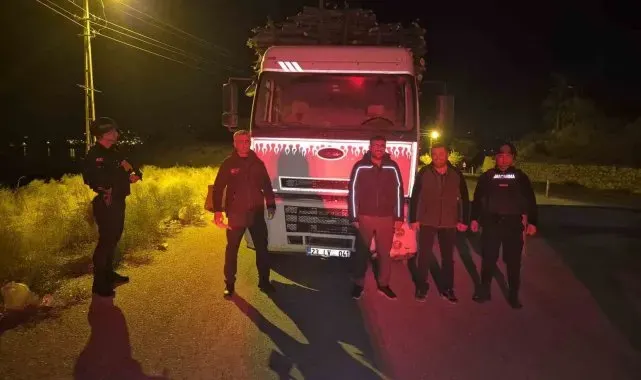Elazığ'da orman suçlarıyla mücadelede sıkı denetim