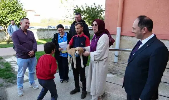 Özel eğitim okuluna can dost yavru köpek