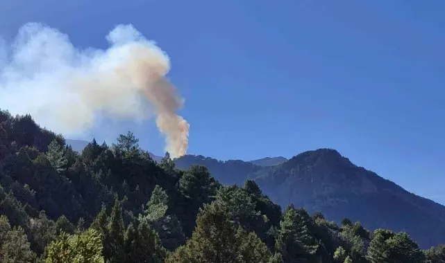 Denizli'deki yangına 6 helikopterle müdahale ediliyor