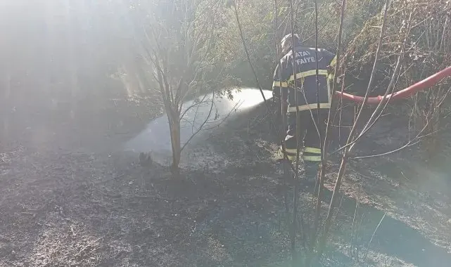 Samandağ'da bahçe yangını söndürüldü