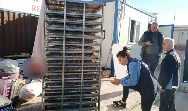 Pastane imalathanelerinde bozulmuş 150 kilogram cevize el konuldu