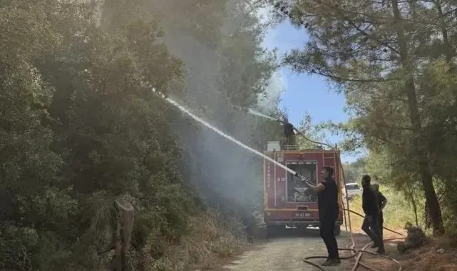 Antakya'da orman yangını kısa sürede söndürüldü