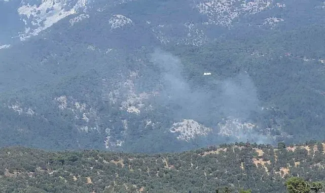 Zeytinlikte çıkan yangın Kazdağı Milli Parkı'na sıçradı