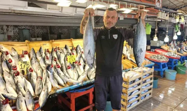 Bandırma Balık Hali'nde palamut bayramı yaşanıyor