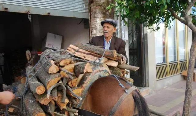 Aydın'da geleneksel kış hazırlıkları başladı