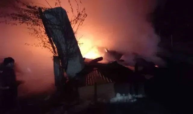 Artvin'de köyde çıkan yangında samanlık kullanılamaz hale geldi