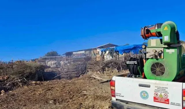 Manisa Büyükşehir Belediyesinden 'mavi dil' hastalığına karşı mücadele