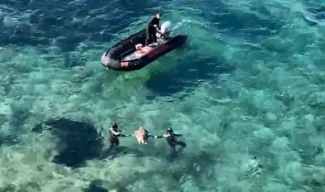 Ölü olarak bulunan caretta, dalgıçlar tarafından karaya çıkarıldı